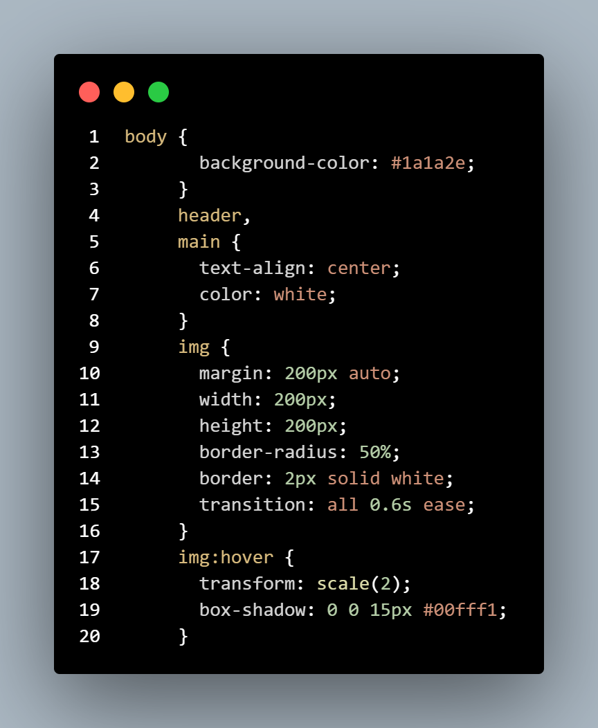 codesnap of this style